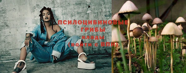 гидропоника Белокуриха
