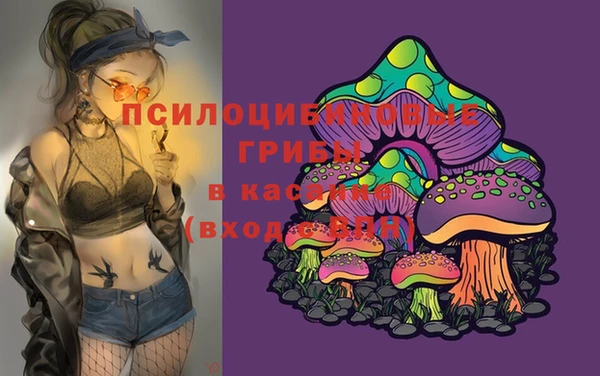 тгк Богородицк