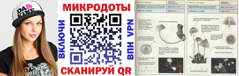 Галлюциногенные грибы прущие грибы  цена наркотик  OMG ссылки  Новый Оскол 